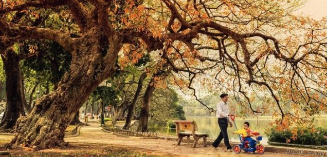 Tour du lịch mùa Thu