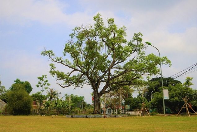 Tour Cửa Lò - Quê Bác - Ngã ba Đồng Lộc