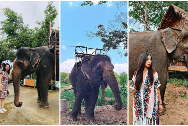 Tour Hà Nội - Buôn Mê Thuột - Pleiku