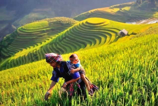 KHÁM PHÁ TÂY BẮC: MÙ CANG CHẢI - SAPA - LAI CHÂU - ĐIỆN BIÊN - MỘC CHÂU - MAI CHÂU