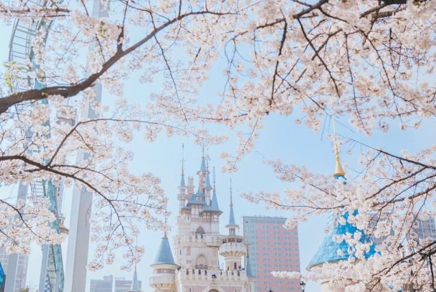 KHÁM PHÁ HÀN QUỐC:  HÀ NỘI – BUSAN – SEOUL – STARFIELD – LOTTE WORD